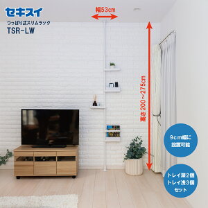 ZLXCς莮XbN TSR-LW 200`275cm zCg