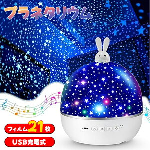 �v���l�^���E�� �ƒ�p �y21��ޓ��e�z �a�����v���[���g ���� �l�C �N���X�}�X �h���[���X�C�b�` �o�Y�j�� ���邨������y���F�ϊ� �z�i�C�g���[�����C�g �I���S�[���y���邳���� �I�t�^