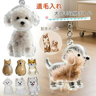 ペット遺毛収納ボトル キーホルダー型犬毛保管ケース - 愛犬との思い出を持ち歩こう！犬の毛収納ボトル …