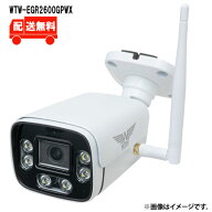 [送料無料]500万画素 機器間Wi-Fi対応IPネットワークシリーズ 屋外仕様 防犯灯カメラWTW-EGR2600GPWXWTW …