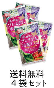ԁ@؁@v~A@v^[@邢ԂƖ؂̃v~A|{y@12bg×4܁@4܃Zbg