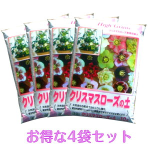 NX}X[Y̓y@10L×4܁@4܃Zbg