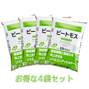 s[gX@10bg×4܁@4܃Zbg