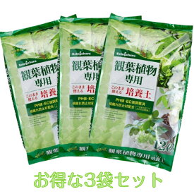 インテリア　室内園芸　おしゃれ　観葉植物　オリーブ　観葉植物専用培養土　12L×3袋　お得な3袋セット