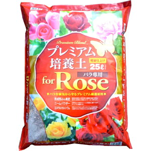 o̓y@o@Rose@K[f@nӂ@yʃv~A|{yop@25L