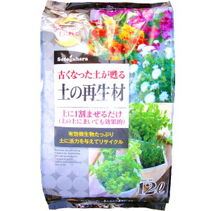 Đށ@TCNށ@ÂȂyS@y̍Đށ@12bg