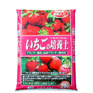 ̔|{y@25L