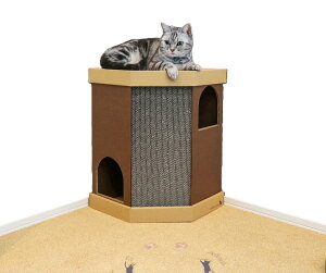 nekoto_ R[i[XNb`nEX@܂Ƃ@܂ƂnEX@L@lRnEX