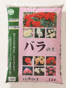 o@Rose@K[f@o̓yo̓y@14L