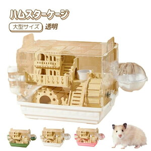 nX^[ P[W SʃNA S ^TCY P[W  [߃gC L K ֗ ϋv ʂ悢 S[fnX^[ bg nlY~ ঒ pP[WP