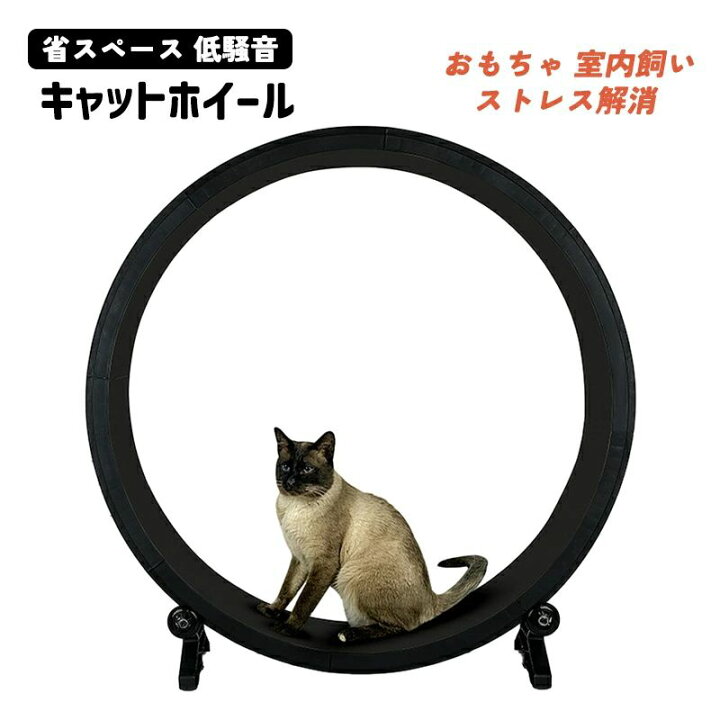 楽天市場】キャットホイール 回し車 省スペース 低騒音 キャットタワー 
