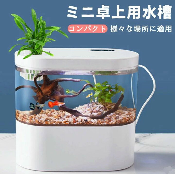 楽天市場】LEDライトフィルターポンプ付き水槽セットアクアリウム 