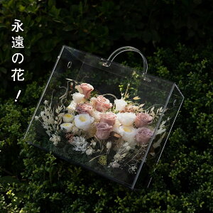 vU[uht[ uU[ht[ AN P[X y AN AWbAH[ z( Ԍt Ă܂ )    c FB   ʉ j L