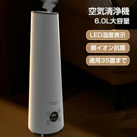 【2025進化型！】 空気清浄機 6L大容量 35畳対応 除菌 脱臭機 ホコリ タイマー PM2.5 コンパクト 小型 家庭用 集塵 脱臭 省エネ 花粉症対策 静音 猫 犬 匂い タバコ 生活臭 銀イオン抗菌　知