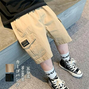 q J[Spc j̎q ܕ n[tpc T}[pc V[gpc {gX EGXgS pvg    JWA w w WjA 