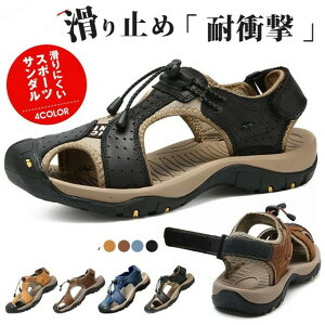 T_ Y X|[cT_ ϏՌ Ռz ɂ  X|[c Lv C   }X|[c ][g s