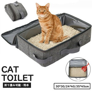 L gC LgC lRgC 3TCY   |₷ юUȂ LpgC L VL QL Sޗ O[  |₷ ybgpi ` h ܂݉