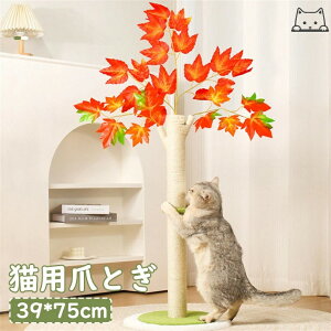 LpXNb`{[h Lbg^[ L^[ LbgNC~O LpnbN LpƋ LpNC~Ot[ ybgANZT[ p Lpxbh LpNC~Ot[