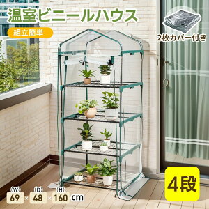 rj[nEX rj[  4i x_ ƒp ƒ؉ K[fnEX t[nEX bN rj