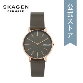 スカーゲン 腕時計 レディース ウォッチ SKAGEN 時計 SKW2794 SIGNATUR 公式 ブランド 北欧 シンプル 防水 誕生日 プレゼント 記念日 ギフト