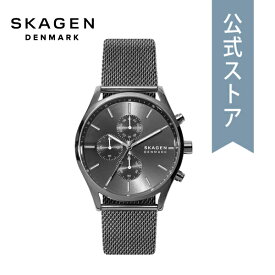 腕時計 メンズ スカーゲン アナログ 時計 ガンメタル ステンレス メッシュ HOLST ホルスト SKW6608 SKAGEN 公式 ブランド 北欧 シンプル 防水 誕生日 プレゼント 記念日 ギフト