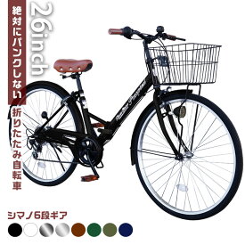 Passepied ノーパンクタイヤ シティサイクル 折りたたみ自転車 26インチ 折り畳み ママチャリ シティバイク カゴ サークル錠 ライト 付き プレゼント メーカー保証あり TS26b-np