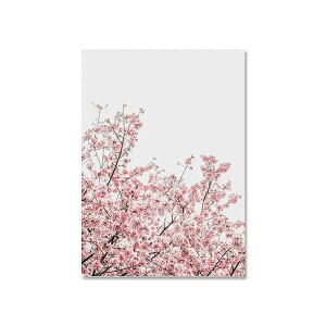 A[g|X^[ t[tEA[gplzt A {^jJ EԁEV[Y fUCNO-1 A4 A3 A2