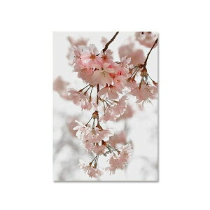 A[g|X^[ t[tEA[gplzt A {^jJ EԁEV[Y fUCNO-2 A4 A3 A2