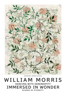 A[g|X^[ t[tEA[gplzt  G EBAX |X^[V[Y fUC3-C A4 A3 A2