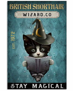 A[g|X^[ t[tEA[gplzt  LV[Y fUCNO-11