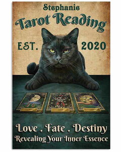 A[g|X^[ t[tEA[gplzt  LV[Y fUCNO-3