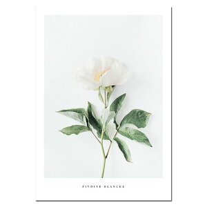 A[g|X^[ t[tEA[gplzt mN[ʐ^V[Y ^Cv4 A4 A3 A2