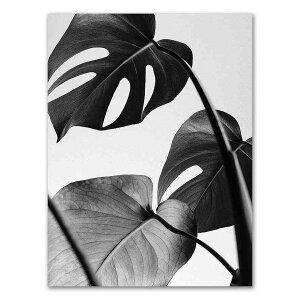 A[g|X^[ t[tEA[gplzt mNV[Y fUCNO-9 A4 A3 A2