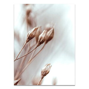 A[g|X^[ t[tEA[gplzt ԃV[Y fUCNO-2 A4 A3 A2