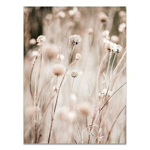 A[g|X^[ t[tEA[gplzt ԃV[Y fUCNO-5 A4 A3 A2