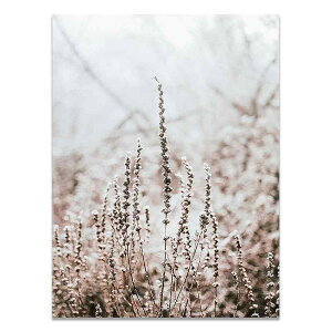 A[g|X^[ t[tEA[gplzt ԃV[Y fUCNO-8 A4 A3 A2