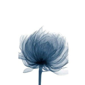 A[g|X^[ t[tEA[gplzt A {^jJ V[Y fUCNO-3