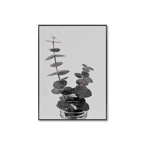 A[g|X^[ t[tEA[gplzt A {^jJ EԂKNV[Y fUCNO-A A4 A3 A2