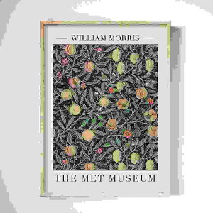 A2 A3 t[t A[gpl A[g|X^[ EBAX |X^[ {^jJ ǎV[Y fUCNO-E