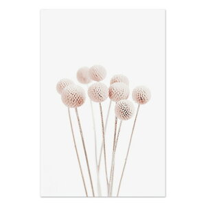 A[g|X^[ t[tEA[gplzt A {^jJ EԃV[Y fUCNO-1 A4 A3 A2