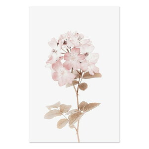 A[g|X^[ t[tEA[gplzt A {^jJ EԃV[Y fUCNO-5 A4 A3 A2