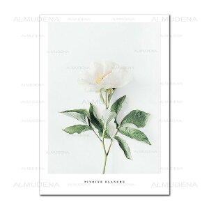 A[g|X^[ t[tEA[gplzt A {^jJ EԃV[Y fUCNO-1 A4 A3 A2