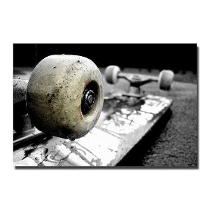 A[g|X^[ t[tEA[gplzt XP{[V[Y fUCNO-12