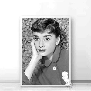 A[g|X^[ t[tEA[gplzt wbvo[V[Y fUCNO-5 A4 A3 A2