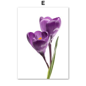 A[g|X^[ t[tEA[gplzt A {^jJ ẺԃV[Y NbJX fUCNO-E A4 A3 A2