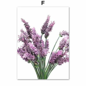 A[g|X^[ t[tEA[gplzt A {^jJ ẺԃV[Y x_[ fUCNO-F A4 A3 A2