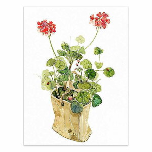 A[g|X^[ t[tEA[gplzt ʉA {^jJ V[Y fUCNO-2 A4 A3 A2