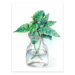 A[g|X^[ t[tEA[gplzt ʉA {^jJ V[Y fUCNO-4 A4 A3 A2