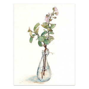 A[g|X^[ t[tEA[gplzt ʉA {^jJ V[Y fUCNO-6 A4 A3 A2