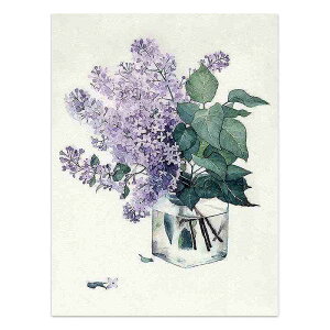 A[g|X^[ t[tEA[gplzt ʉA {^jJ V[Y fUCNO-7 A4 A3 A2